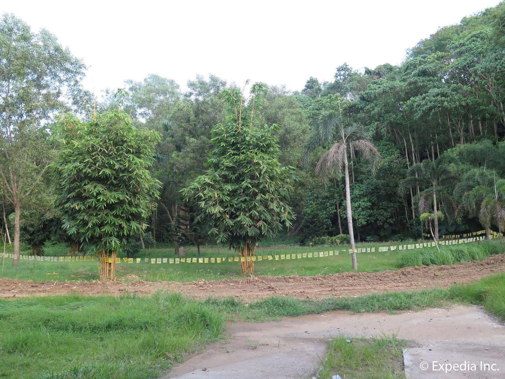 D'Leonor Inland Resort & Adventure Park Davao Exterior photo